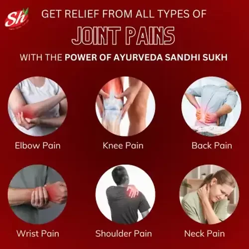 Hridayam Sandhi Sukh Powder for Joint Pain Relief Packs of 100 4 Gram Each Pack - Picture 4 of 4