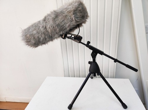 RODE NTG-1 +RYCOTE +WINDSHIELD +THOMANN Support BLIMP MICROPHONE - Picture 2 of 8