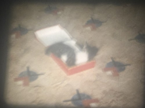 "Kitties" (1954) 8mm Film Heimkino, Kätzchen, Taschentuch zerkleinern, angreifen, spielen, Boxen - Bild 9 von 17