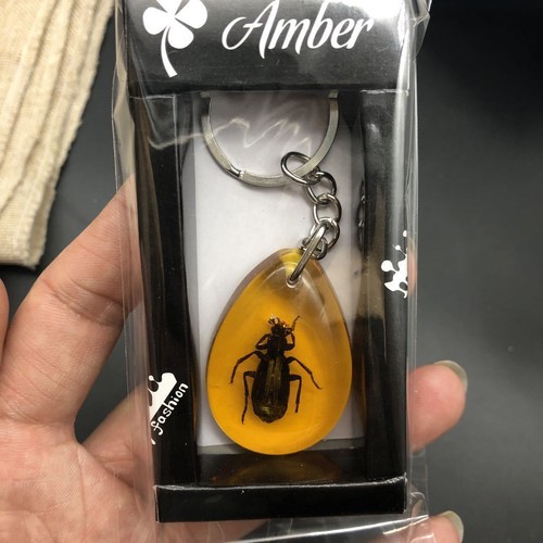 True insect specimen amber keychain car keychain backpack pendant small gift - Picture 14 of 33
