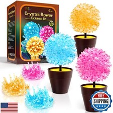 GobiDex Crystal Growing Kit, Science Kits for Kids Age 8-12, Grow Fast in 24
