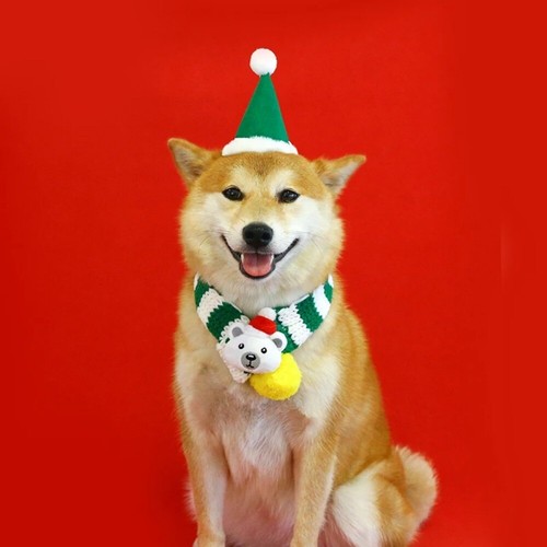 Mascota Navidad Bufanda a Rayas Rojo y Verde Lana Tejido Gato y Cachorro Cuello Cálido - Imagen 11 de 31