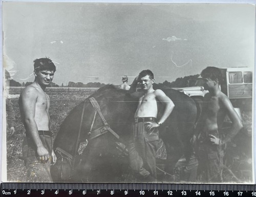 Shirtless Guys Bulge Muscle Affectionate Men Gay Interest Old Photo #2343