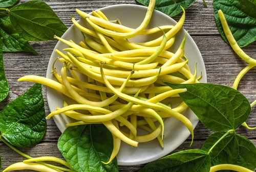Kentucky Wonder Yellow Wax Bean Seeds (Pole Beans) | Butter Golden Seed For 2025 - Bild 2 von 12