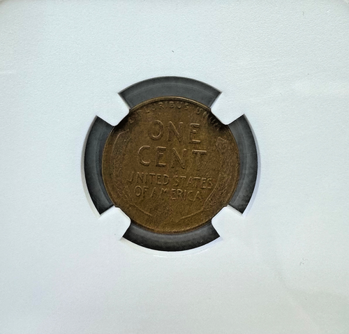 1924 D Wheat Cent in NGC VF 30 Brown,Semi-Key Date, Low Mintage Coin - Picture 4 of 5