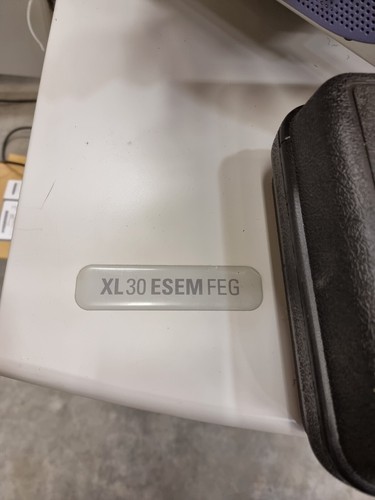 Microscopio elettronico a scansione FEI XL30 ESEM FEG - Foto 3 di 21