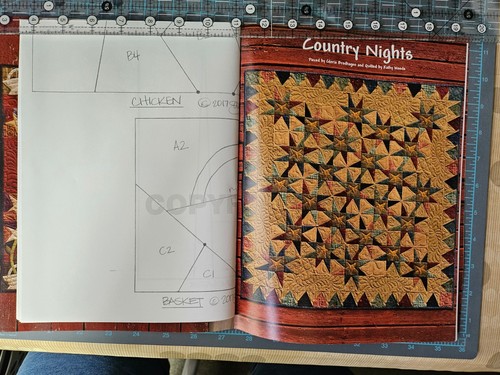 Udder-ly Crazy, One Sister, Janet Rae Nesbitt, Buggy Barn, Quilt Pattern Book - Picture 5 of 6