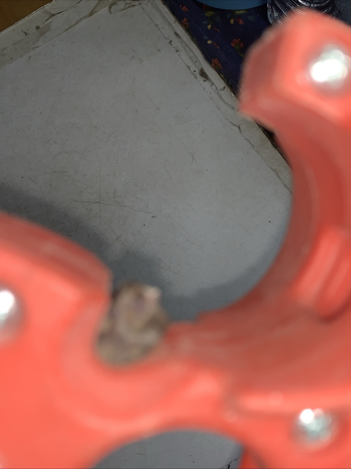Picture 4 of 5