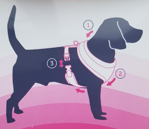 Doodlebone Originals Airmesh Harness Size 4-5 Neck- 39cm, Breast- 65/95cm - Picture 6 of 10