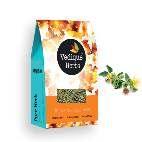 VEDIQUE HERBS Bala (Sida cordifolia) - 250g (8,8oz) | Roh, Roh, Getrocknet | T-C... - Bild 1 von 8