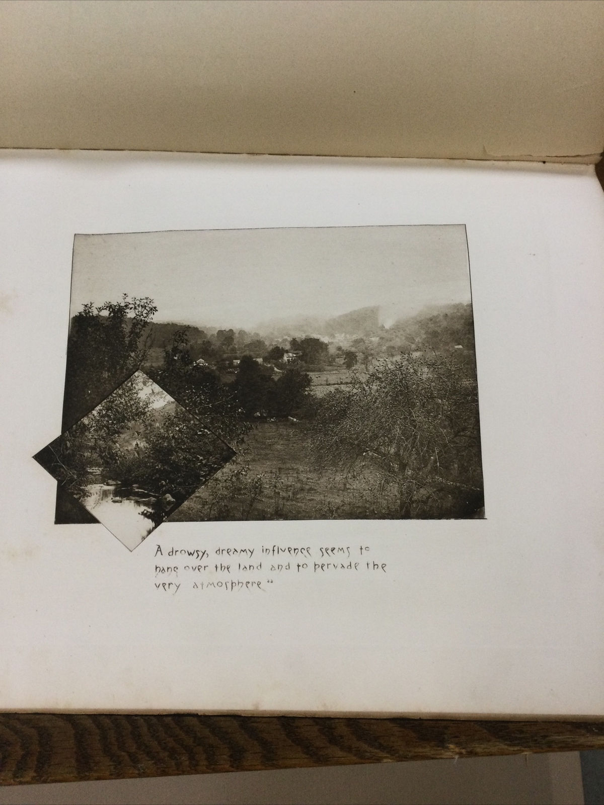 Picture 7 of 12