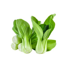 Organic Shanghai Green Stem Bok Choy/ Pak Choi Seeds Pak Tsoi Samho, C  i L ng