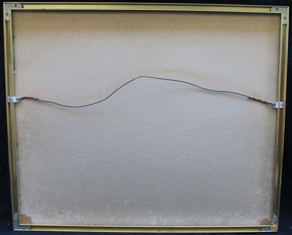 NASCAR Daytona Int'l Speedway Suite Histórica Mate/Enmarcado Bobby Allison 20X24 Foto 3 de 3