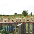 Foto 2 di 4