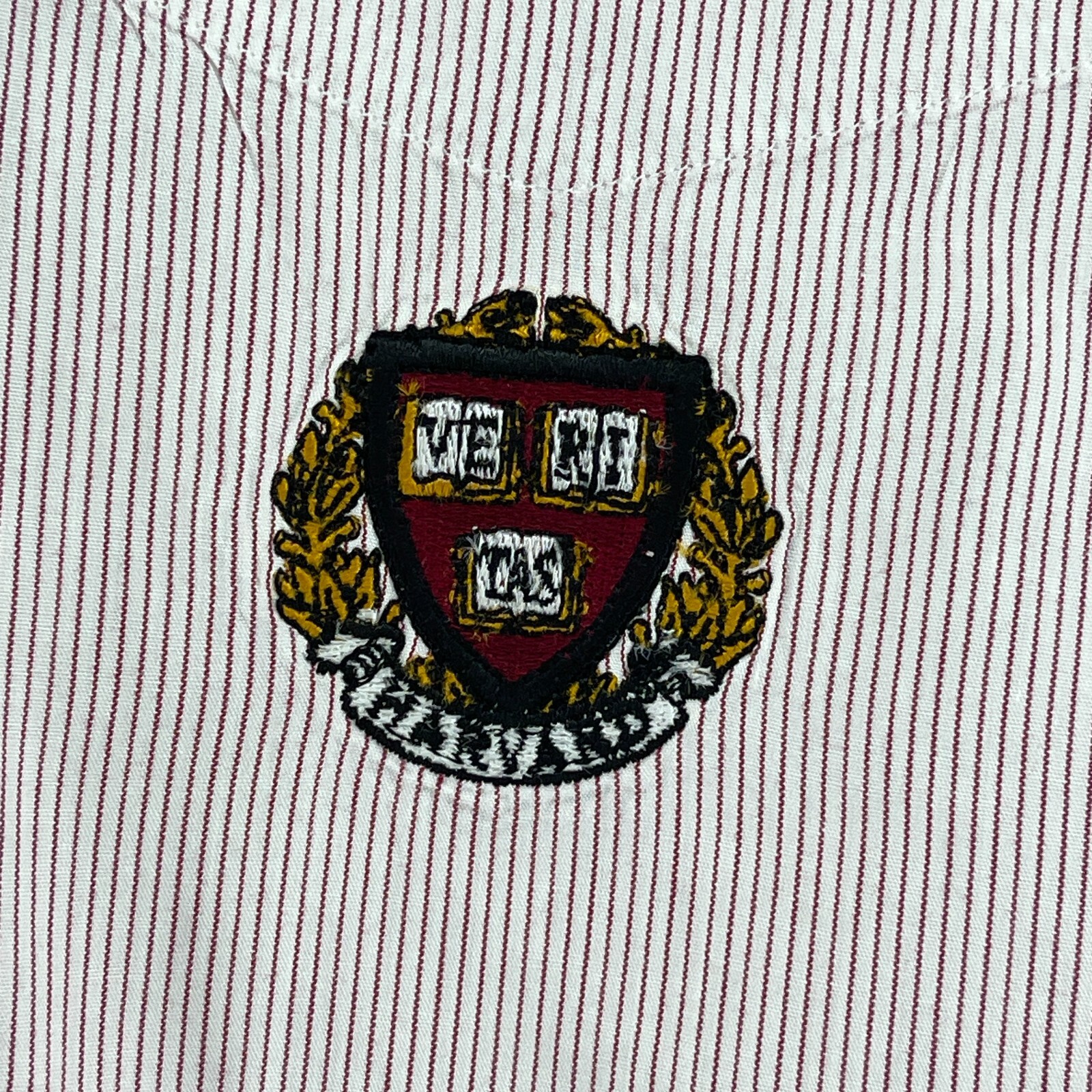 Picture 10 of 14