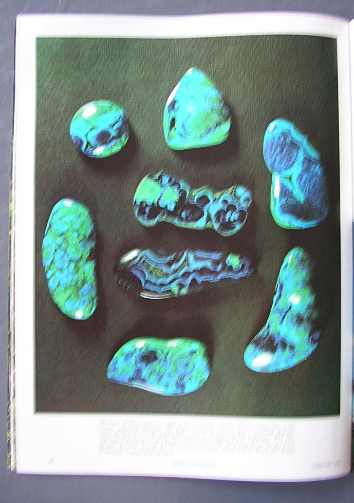 Picture 8 of 12