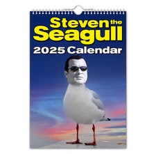 2025 Calendar - Steven the Seagull - Funny - Quirky - Christmas - Birthday