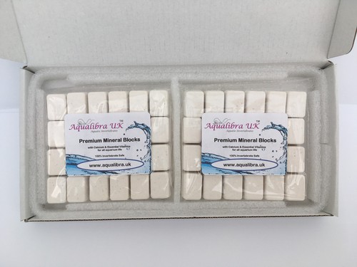 BLOCCHI CALCIO E MINERALI PREMIUM (confezione doppia) di Aqualibra UK - Foto 5 di 26