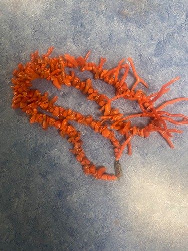 CORALLA RAMA NARANJA CORAL - Imagen 6 de 11