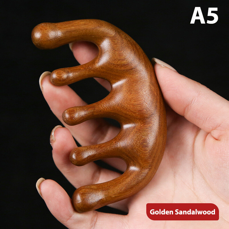 Bild 12 von 15