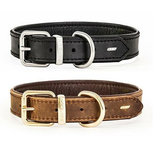 ezydog collar sizes