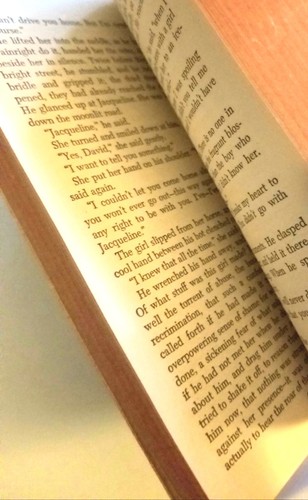 The Career of David Noble. A Novel by Frances Parkinson Keyes.  - Picture 4 of 6