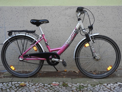 Top 100% ok ALU Mädchen Damen PEGASUS Fahrrad 24 zoll Feder Gabel Naben Dynamo - Bild 2 von 20