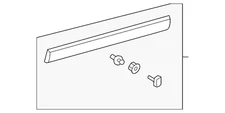 Genuine Toyota Lower Molding 75072-0T900