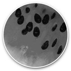 2 x Vinyl Stickers 30cm (bw) - Watermelon Fruit Healthy Eating  #42012