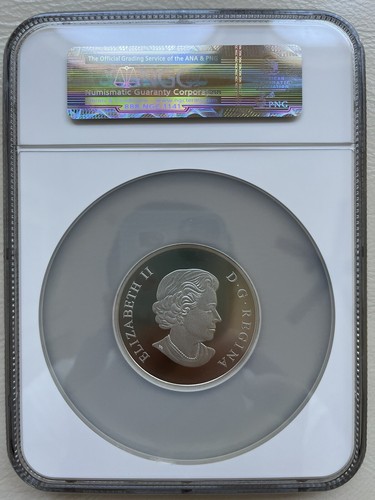 2014 Canada Silver $200 Towering Forests PF 69 MATTE Early Release NGC COIN - Picture 3 of 4