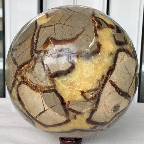 8080G Natürlicher Schildkrötenrückenstein Drache Kristallkugel Quarz Mineral Heilung - Bild 3 von 12
