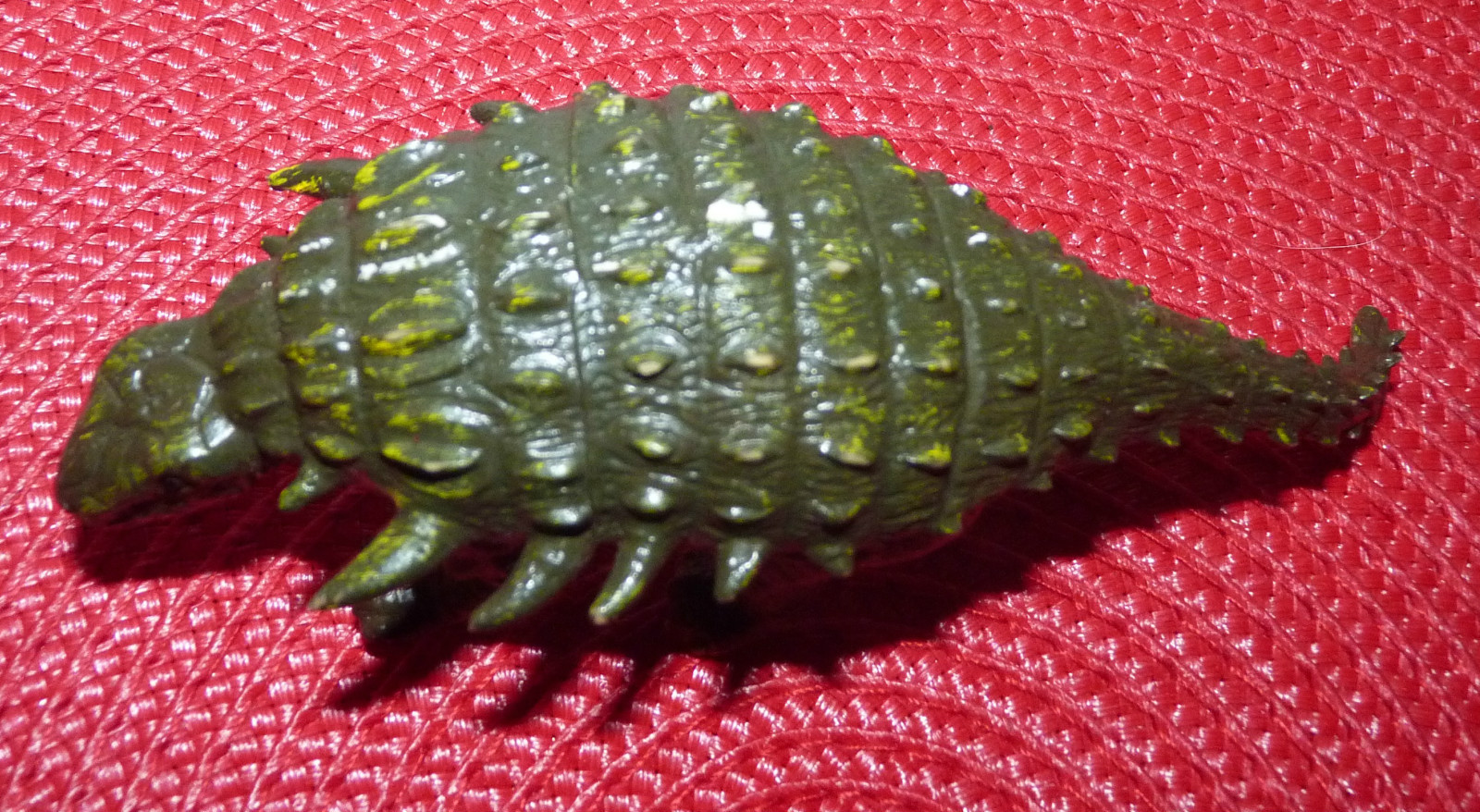 Picture 5 of 5