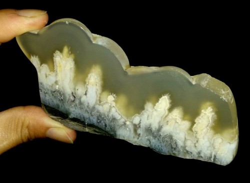 ¡INCREÍBLE AMONITA!¡REBANADA DE CALCEDONIA ÁGATA, DE JAVA, INDONESIA, 100 MM - Imagen 3 de 6