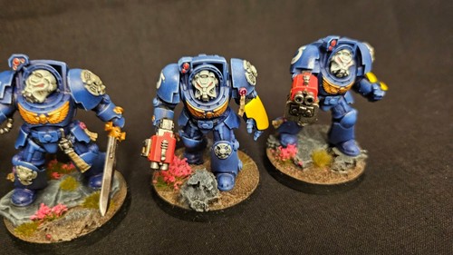 Space Marine | Terminator Squad | Painted & Ready for Battle - Picture 5 of 8