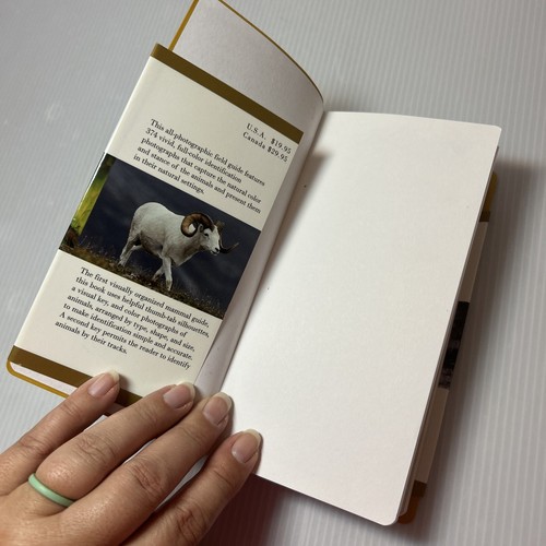 4 VTG National Audubon Society Field Guides ~ Night Sky, Weather, Mammals, Birds - Picture 6 of 23