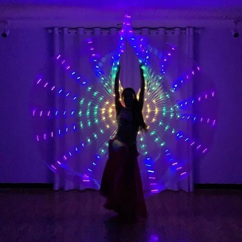 Colorful LED Dance Fairy Belly Dance Butterfly Wings Supplies Fluorescent Wing - Picture 14 of 27