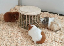 Heuraufe Meerschweinchen Kleintier Kaninchen Hase Heu Raufe Käfigzubehör 80036