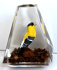 Vintage Hand Carved Painted Goldfinch Lucite/Acrylic Unique Canada Paperweight — photo 3