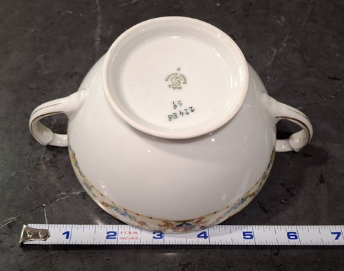 Azúcar con tapa de porcelana floral y frutal Vitg Gebruder Benedikt República Checa-Eslovaquia - Imagen 18 de 20