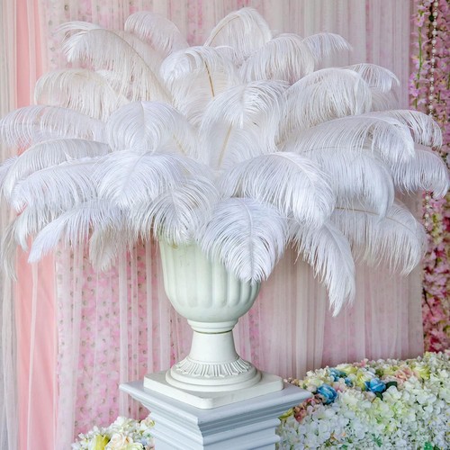 Soft & Fluffy 14-16 Inch White Ostrich Feathers Bulk - 50 Pieces for Crafts - Picture 8 of 9