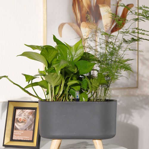 Set of 2 Water Level Indicator Floating Reminder House Plant Meter - Picture 9 of 12