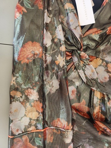 NWT Caballero Anthropologie Deep V-Neck Maxi Floral Dress Size XS - Picture 14 of 14