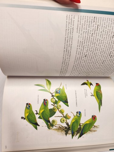 THE FIELD GUIDE TO THE BIRDS OF AUSTRALIA Eighth 8th Edition - Picture 11 of 13