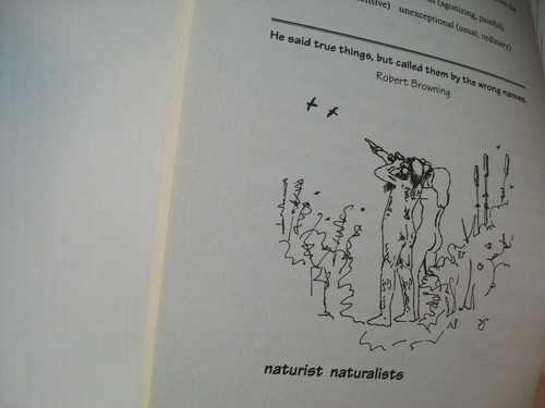 The Secret Life of the English Language - Buttering Parsnips  (Brand New) - Bild 7 von 9