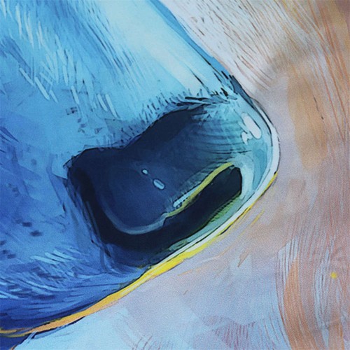 Juego de funda nórdica edredón Black Wolf Fire 3D Doona individual doble estampado Queen King - Imagen 2 de 7