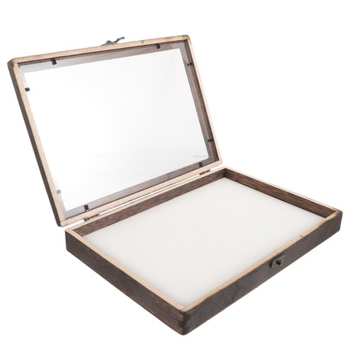 1 Set Vetrina Insetti Scatola Collezione Legno Finestra Trasparente Insetti Box - Foto 12 di 12