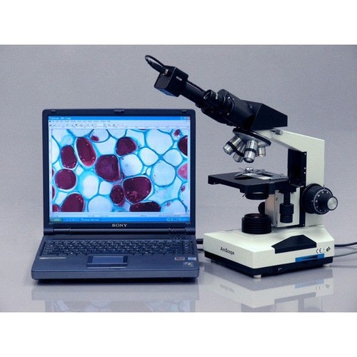 Microscopio compuesto biológico binocular LED AmScope 40X-2000X - Imagen 4 de 8
