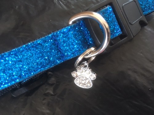 Sparkly Bright Dog Collar and Lead Set - Tiny dog / Small Dog / Chihuahua T-cup - Picture 3 of 40