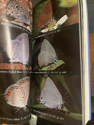 3 Books -National Audubon Field Guide to the Night Sky / Mammals / Butterflies - Picture 6 of 7