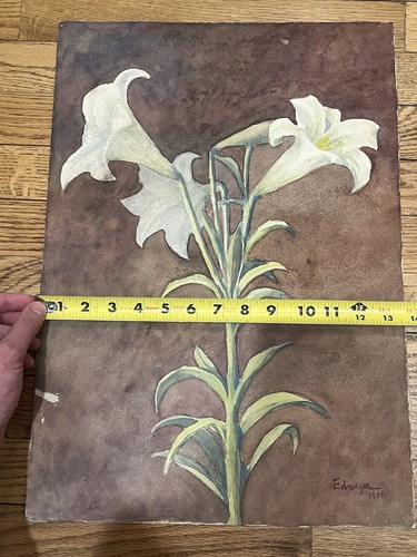 Antique Watercolor Painting on Paper 30s Brazilian Edwiges Jacobusich- Flower - Picture 8 of 17